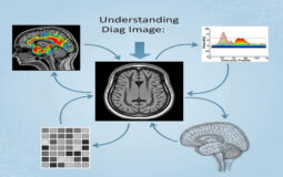 Understanding Diag Image: Types, Uses, and How They Work