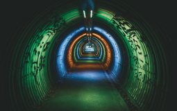 Comparing VPN and Proxy Security for Businesses and Individuals