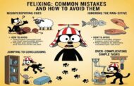 Felixing: Common Mistakes and How to Avoid Them