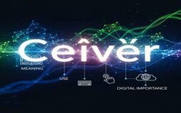 Ceıvır: Exploring the Meaning, Use, and Digital Importance of Ceıvır