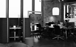 Insomnia API Client Alternatives for Developers and QA Teams