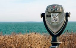 SEO for Dealers: Local Search Strategies That Increase Sales