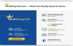 OLXKing123 .com – What You Really Need to Know