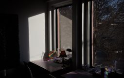 How To Apply New Concepts To Daily Life