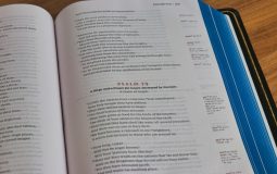 Top 7 Open-Source Knowledge Base Apps For Researchers And Students (Trilium Notes, Joplin, Zim)