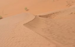 How to Fix “Failed to Patch” Update Error in Black Desert Online