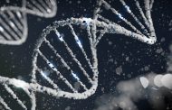 Gene Editing Tools Like CRISPResso That Help Analyze DNA Editing Results