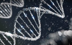 Gene Editing Tools Like CRISPResso That Help Analyze DNA Editing Results