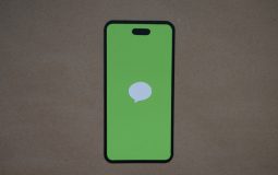 How to Download Old Media from WhatsApp