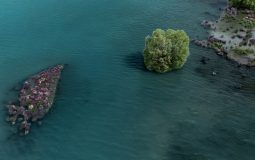 Where to Start Playing the Ys Series: Best Order for Beginners