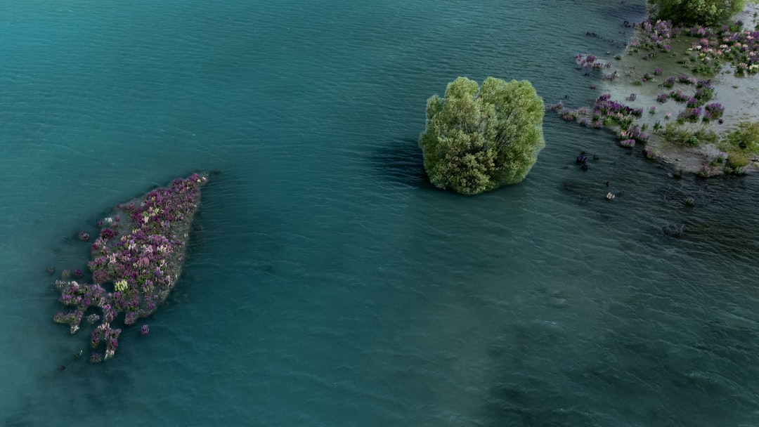 Where to Start Playing the Ys Series: Best Order for Beginners