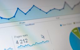 Google Penguin 3.0: History, Updates, and SEO Impact