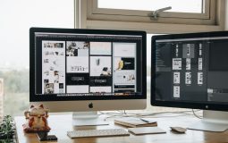 Framer Templates: Framer vs Wix for Building Websites From Templates