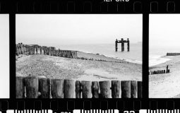 How to Convert TIFF to JPEG: Convertio vs. iLoveIMG for Optimizing Image Files