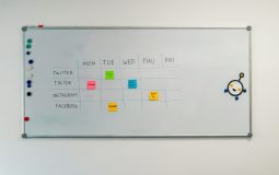 Project Management Platform: ClickUp vs Monday.com for Managing Complex Projects