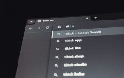 Type a Search Term Here: Comparing Startpage vs Kagi vs Brave Search for Private and Focused Web Searches